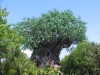 20040424-083-animal_kingdom